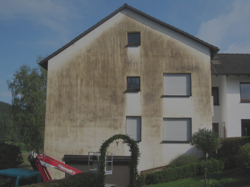 Fassadenreinigung vorher